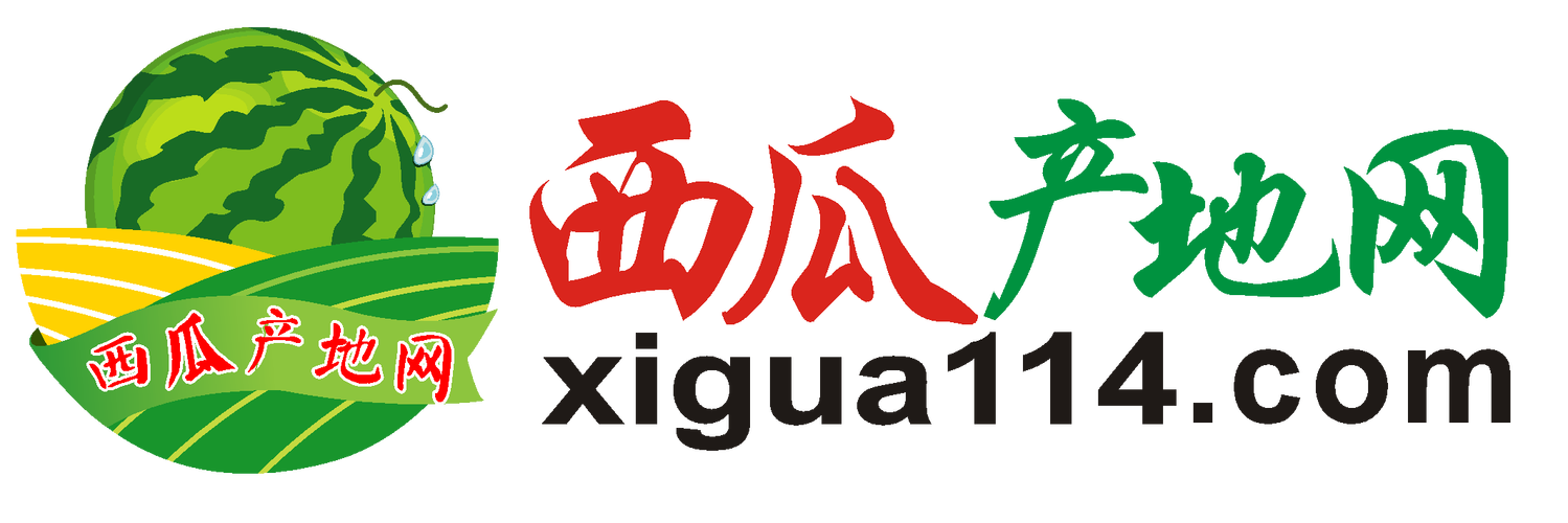 大西瓜新年版