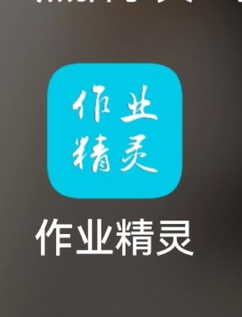 作业小精灵