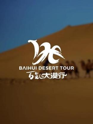 大漠网手机版