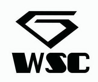wsc温商链官网