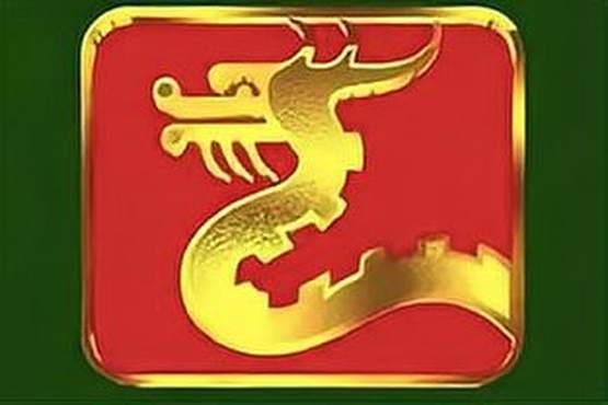 长龙世界分红龙