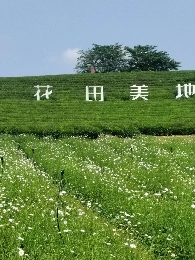 花田小镇