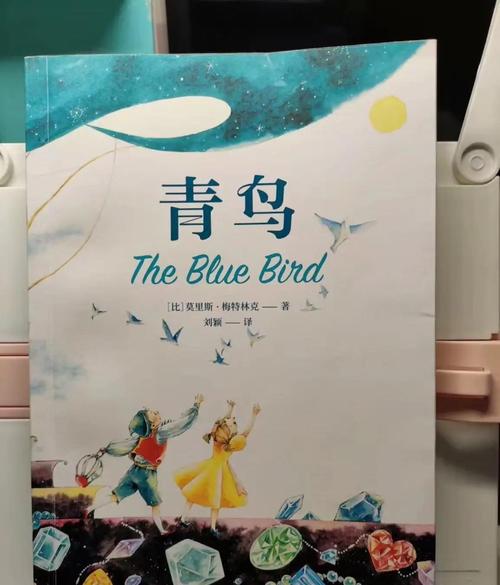 青鸟小说