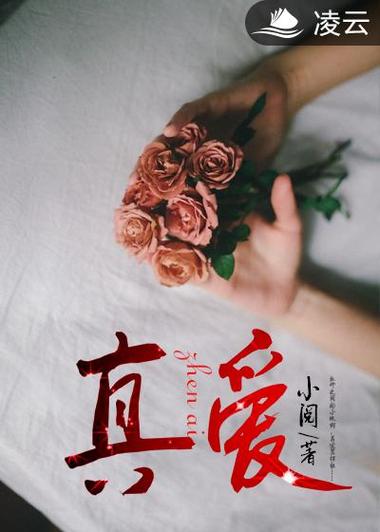 真爱小说手机版正