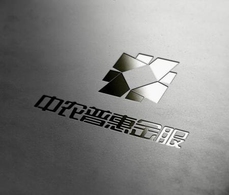 普惠金服