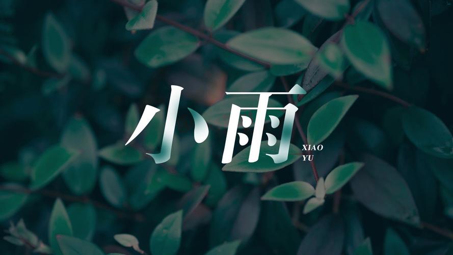 小雨分期