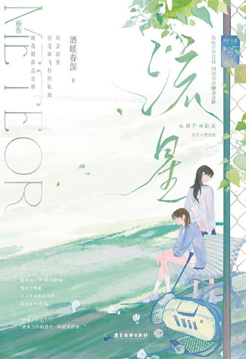 流星小说免费阅读