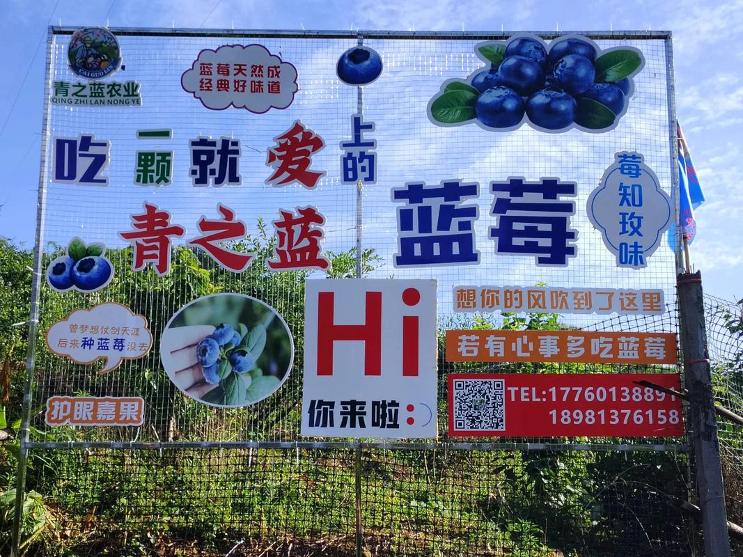 蓝莓院子手机版赚