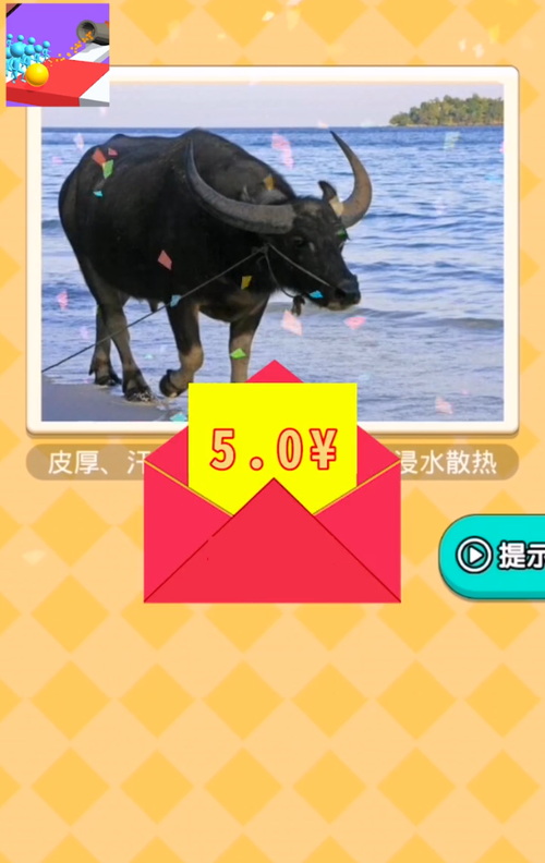 小哥哥别走3D