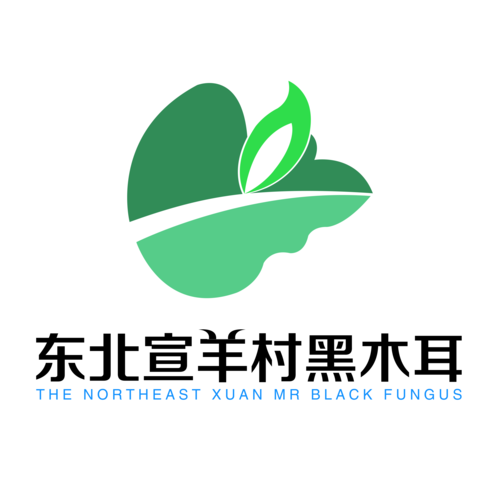 黑木耳