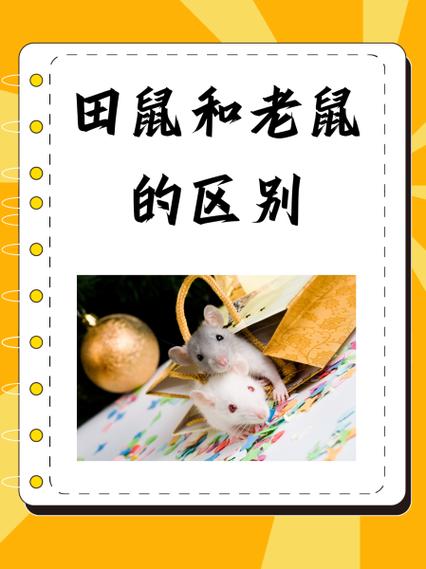 田鼠阅读手机版