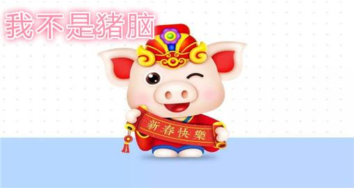 我不是猪脑
