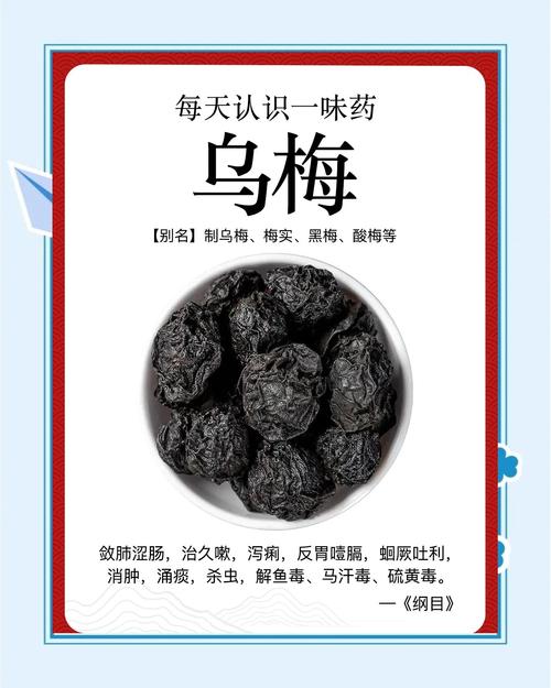 乌梅小说免费版在
