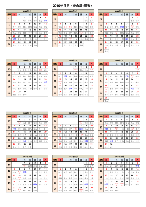 2019年全国中