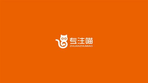 专注喵官网