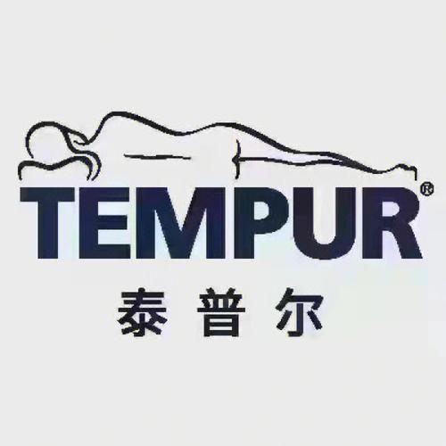 泰尔小说