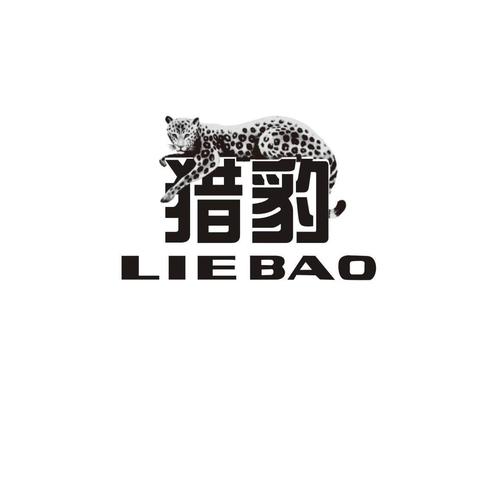猎豹快玩试玩赚钱