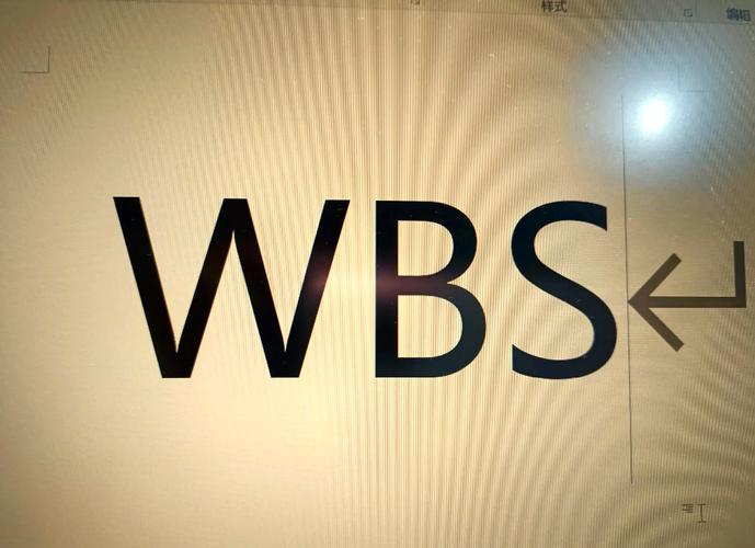 WBS完美全球分