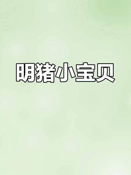 掌上明猪赚钱版