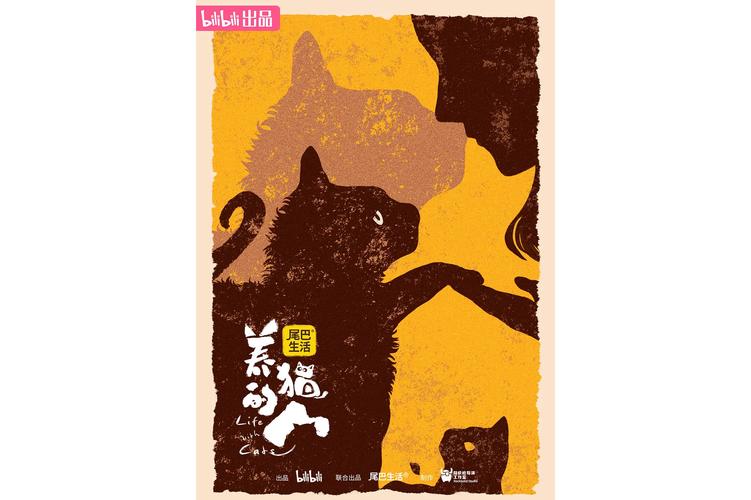 猫与密室1养猫人
