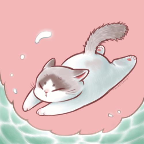 跳水猫