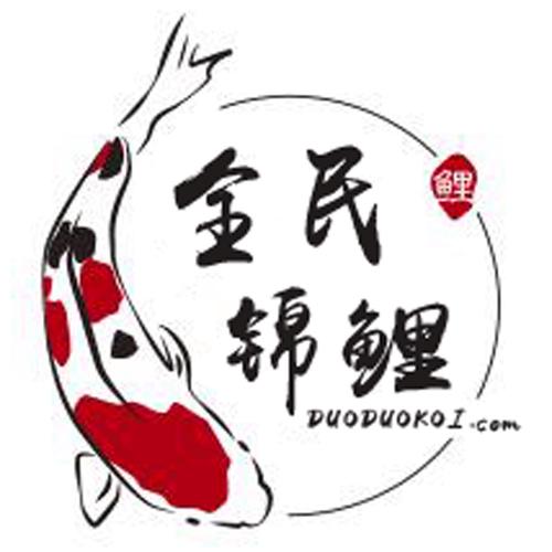 全民锦鲤分红版