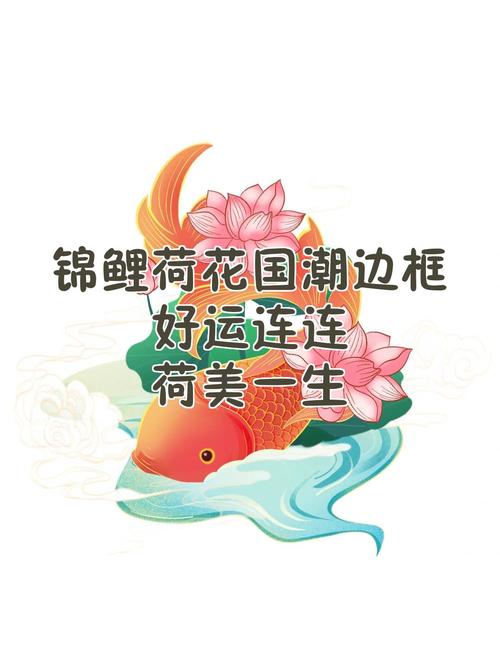 鱼戏荷塘红包赚钱