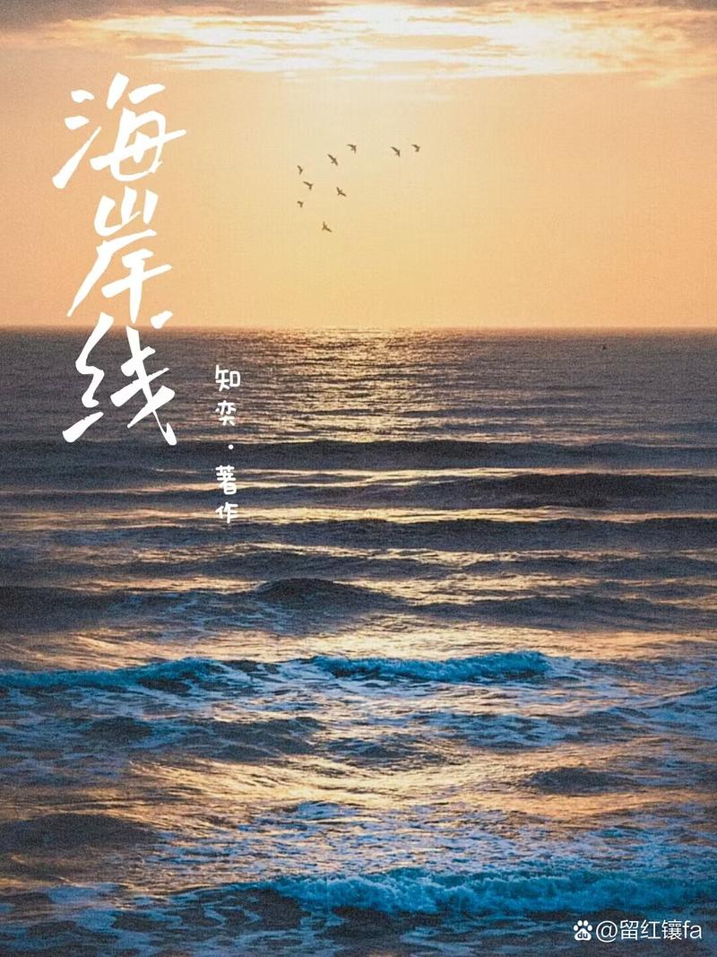 海岸线小说网手机游戏截图