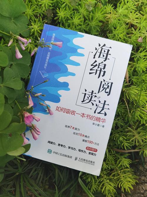 海绵阅读v551