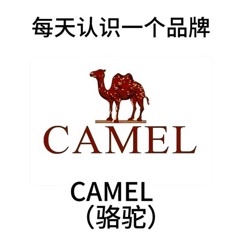 骆驼口袋图标