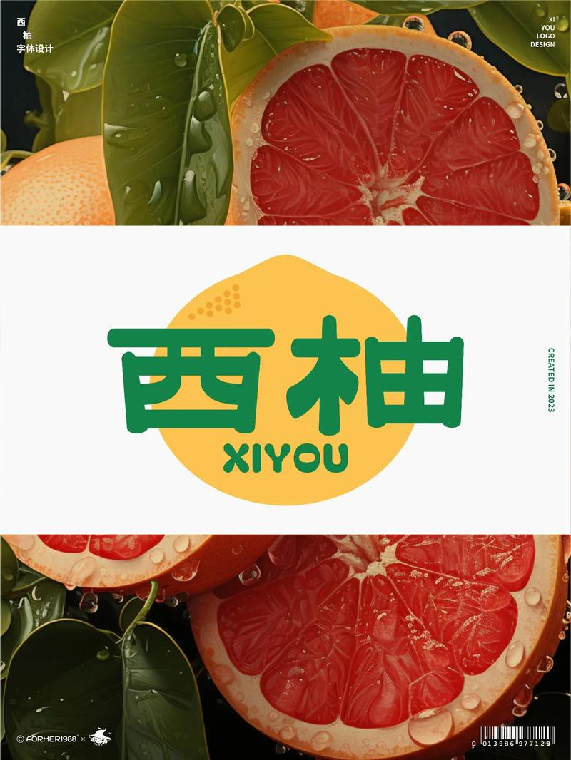 西柚小说网站入口