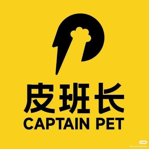 班长说安卓版