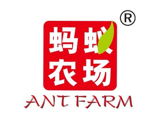 沙蚂蚁农场