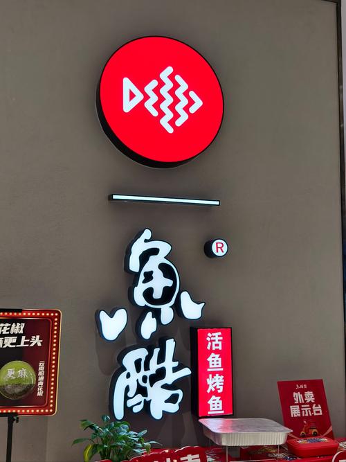 小酷鱼(赚钱短视频)