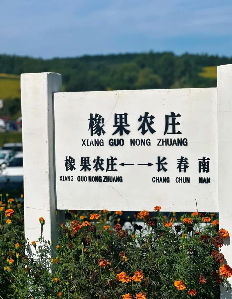 橡果庄园新版本