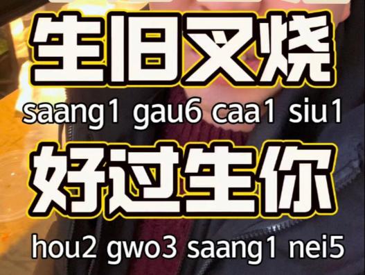 生块叉烧好过生你