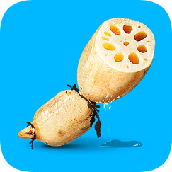 莲藕短视频app