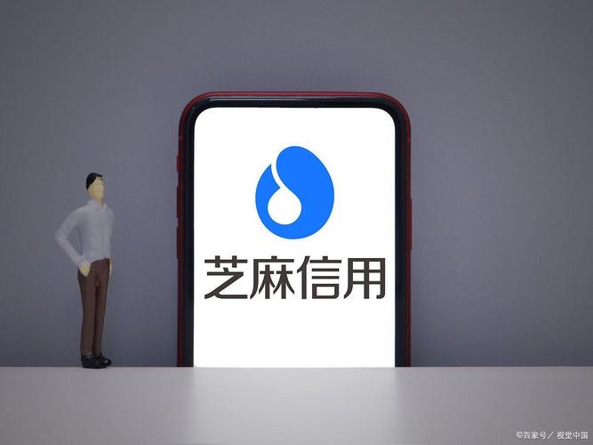 芝麻微贷图标