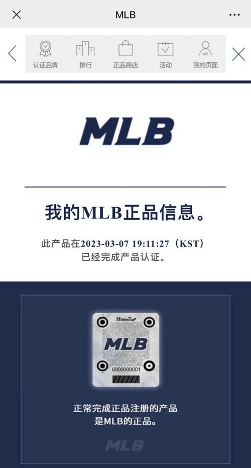 包包赢附授权码