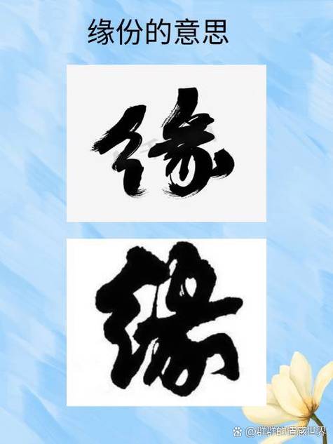 缘分阅读免费版
