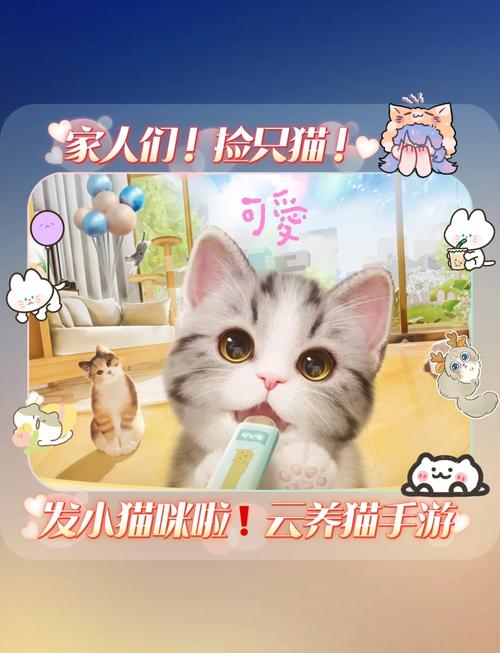 全民养猫游戏