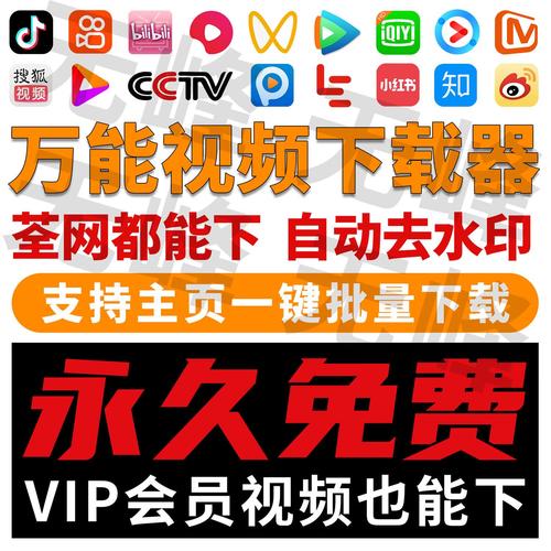 刷贝短视频最新版