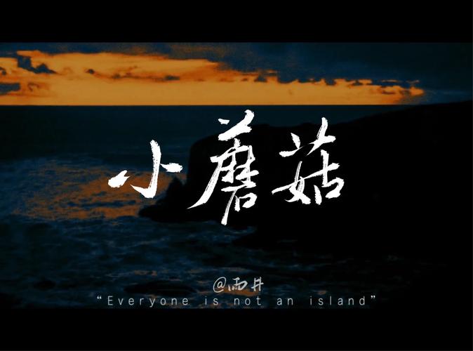 小蘑菇打字官网版