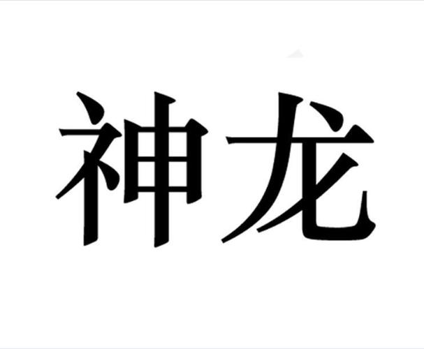神龙资讯安卓
