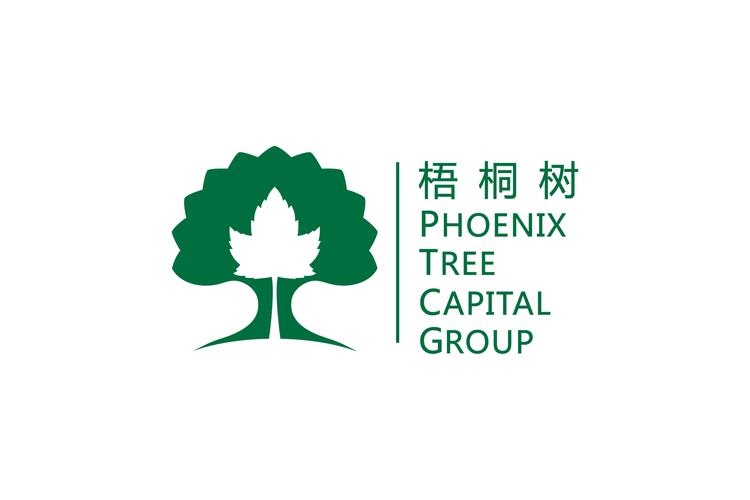 梧桐树