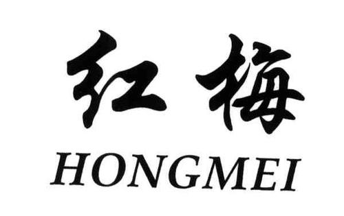 红梅小说阅读器官截图