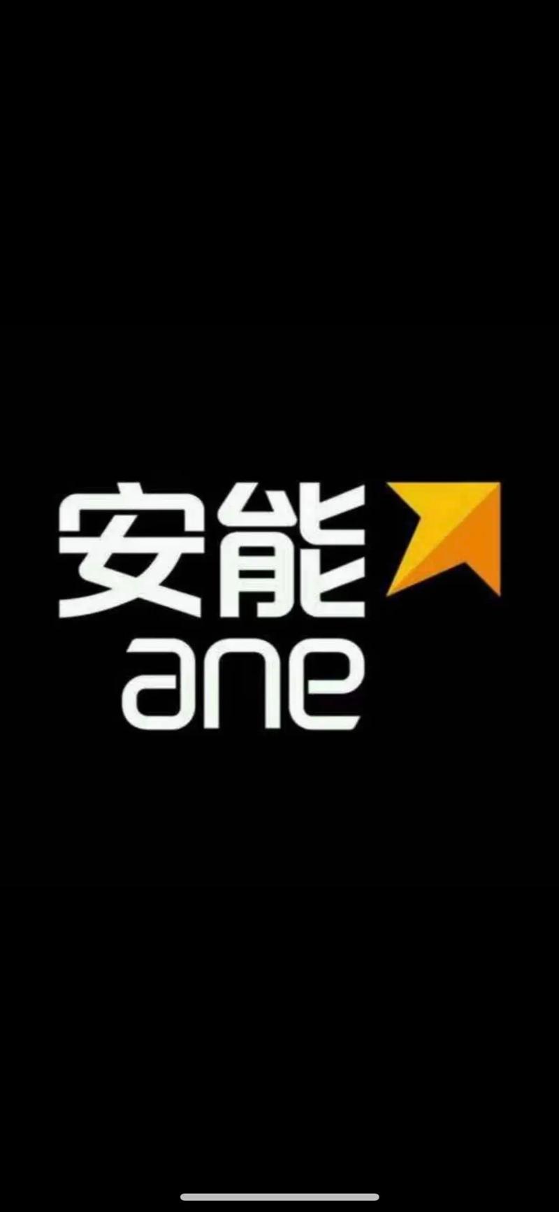安安一对一聊天（真能挣钱）
