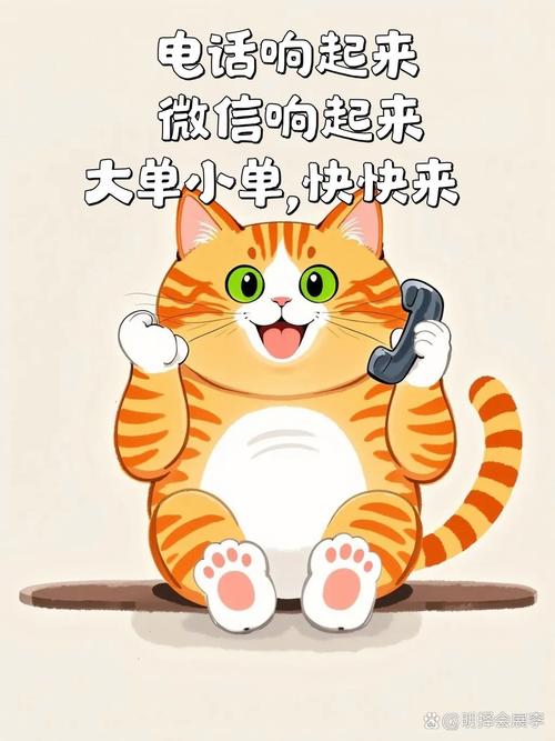 天天养猫猫瓜分大