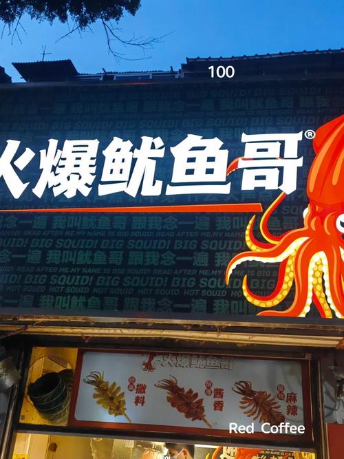 鱿鱼网短视频