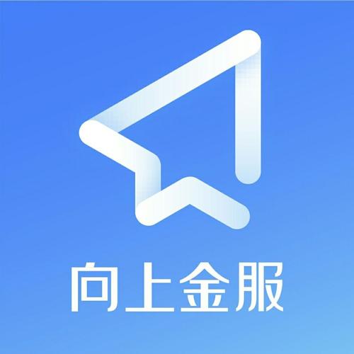 向上金服2019